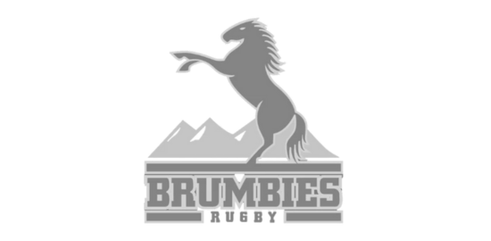 brumbies